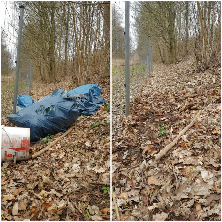 Bündnis 90 / Die Grünen und die City Cleaners Germany räumen Wallenhorst auf!