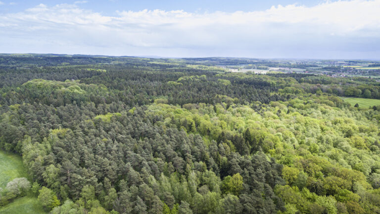 Der Bau der A33 Nord und seine Auswirkungen