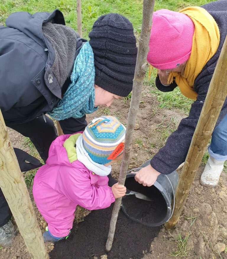 Versprechen gehalten – erster Teil Streuobstwiese gepflanzt!