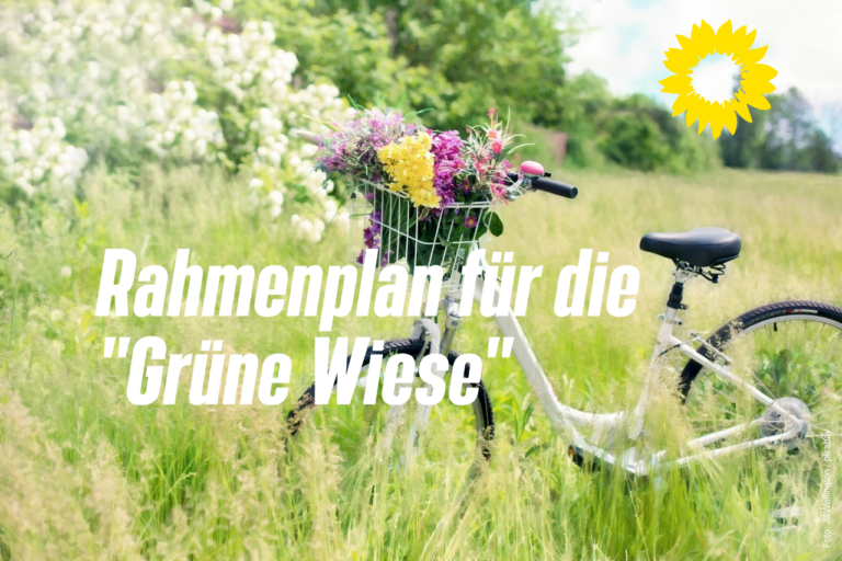 „Grüne Wiese“ doch eher grau?!