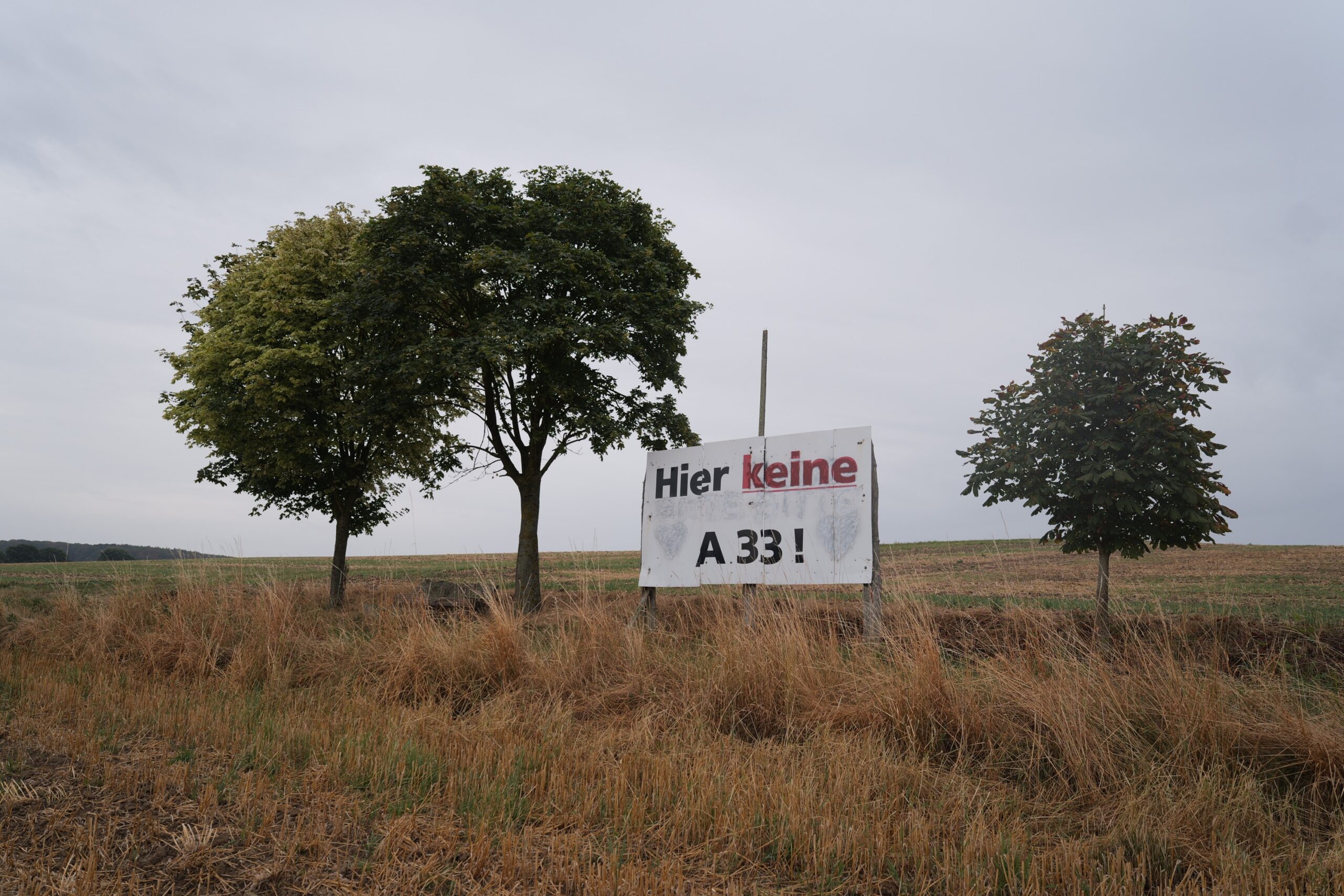 An der geplante Trasse der A33 Nord